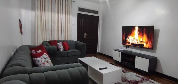 Flat-screen TV
