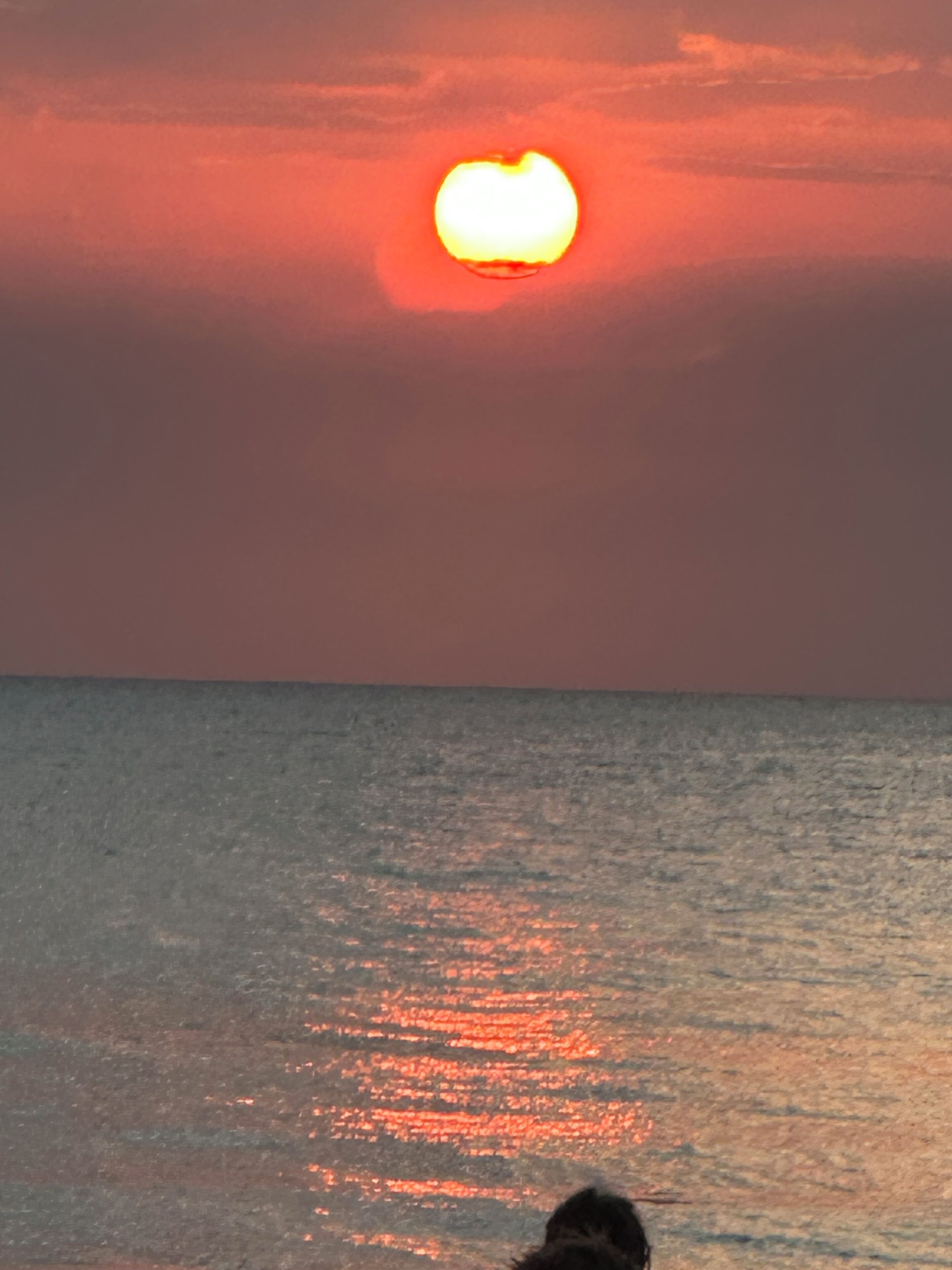 A sunset over the ocean with a dog in the foreground.