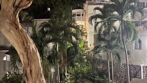 Vista nocturna de un edificio con muro de piedra, palmeras y un espacio bien iluminado.