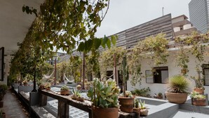 Un patio con plantas en macetas, un banco de madera y un edificio con techo inclinado.