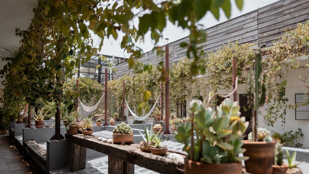 Un patio con un banco de madera, plantas en macetas y una hamaca.