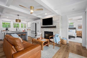 TV, fireplace, books