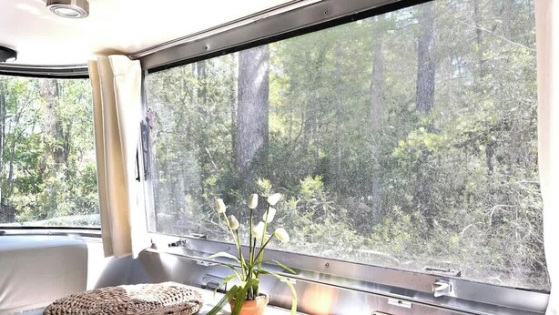 A window seat with a woven cushion, a potted plant, and a view of a forest. - Chic Airstream Glamper Near Tybee & Savannah (Savannah)