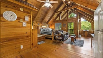 TV, fireplace, offices