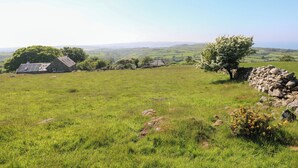 A rural landscape with stone buildings, a stone wall, and a tree. - Ty Mellen (Newport)