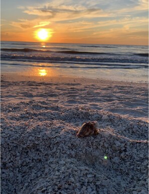 Beach - Marco Island Paradise (Marco Island)