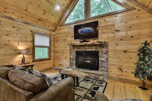 Smart-TV, Kamin