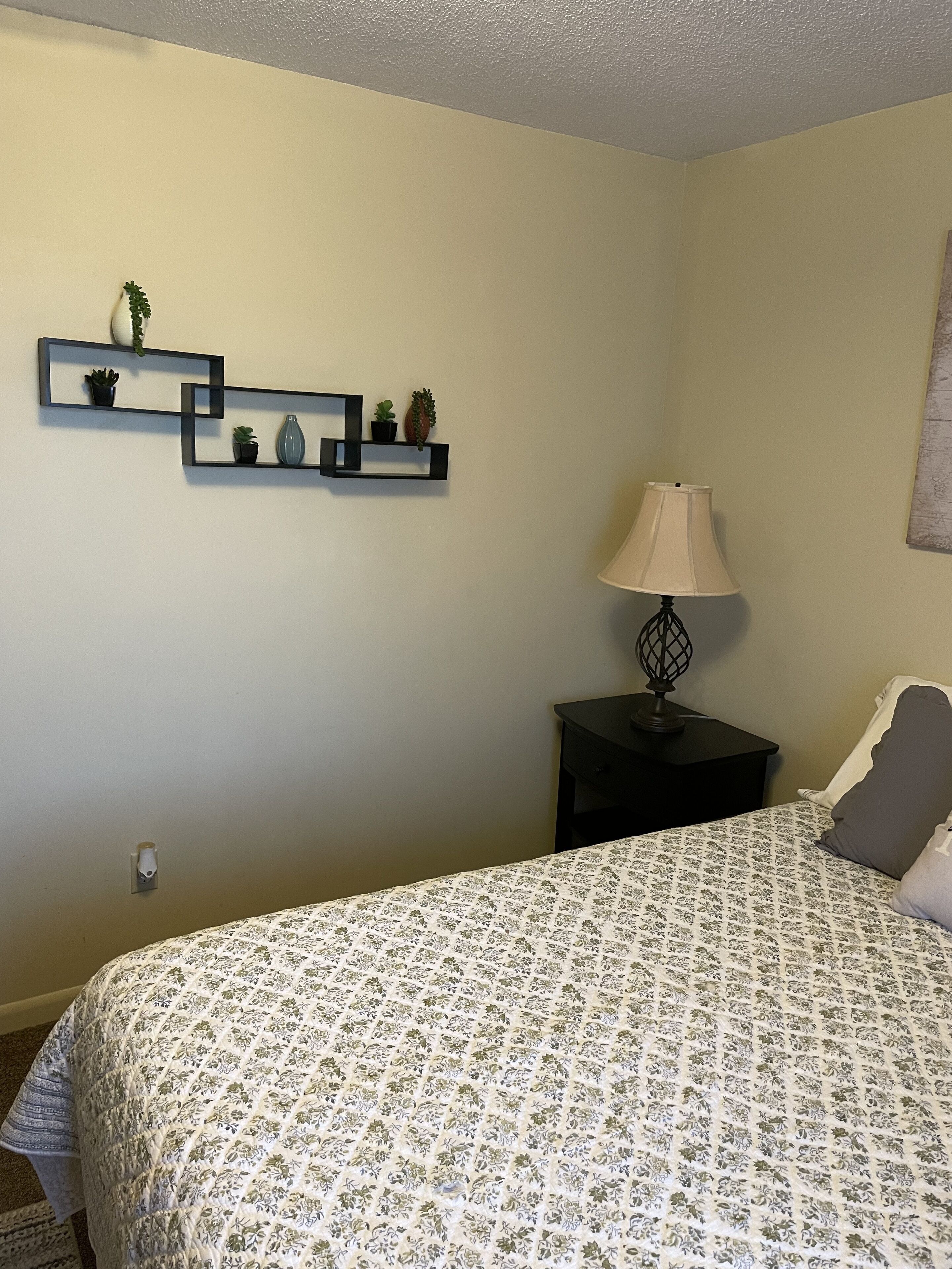 Une chambre à coucher avec un lit, une table de chevet, une lampe et des étagères murales ornées de plantes.
