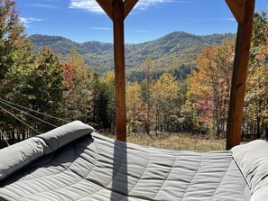 Property grounds - Little Hickory Top - Mountain Side Modern Cabin (Candler)