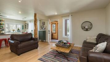 TV connectée, cheminée, lecteur de DVD, livres