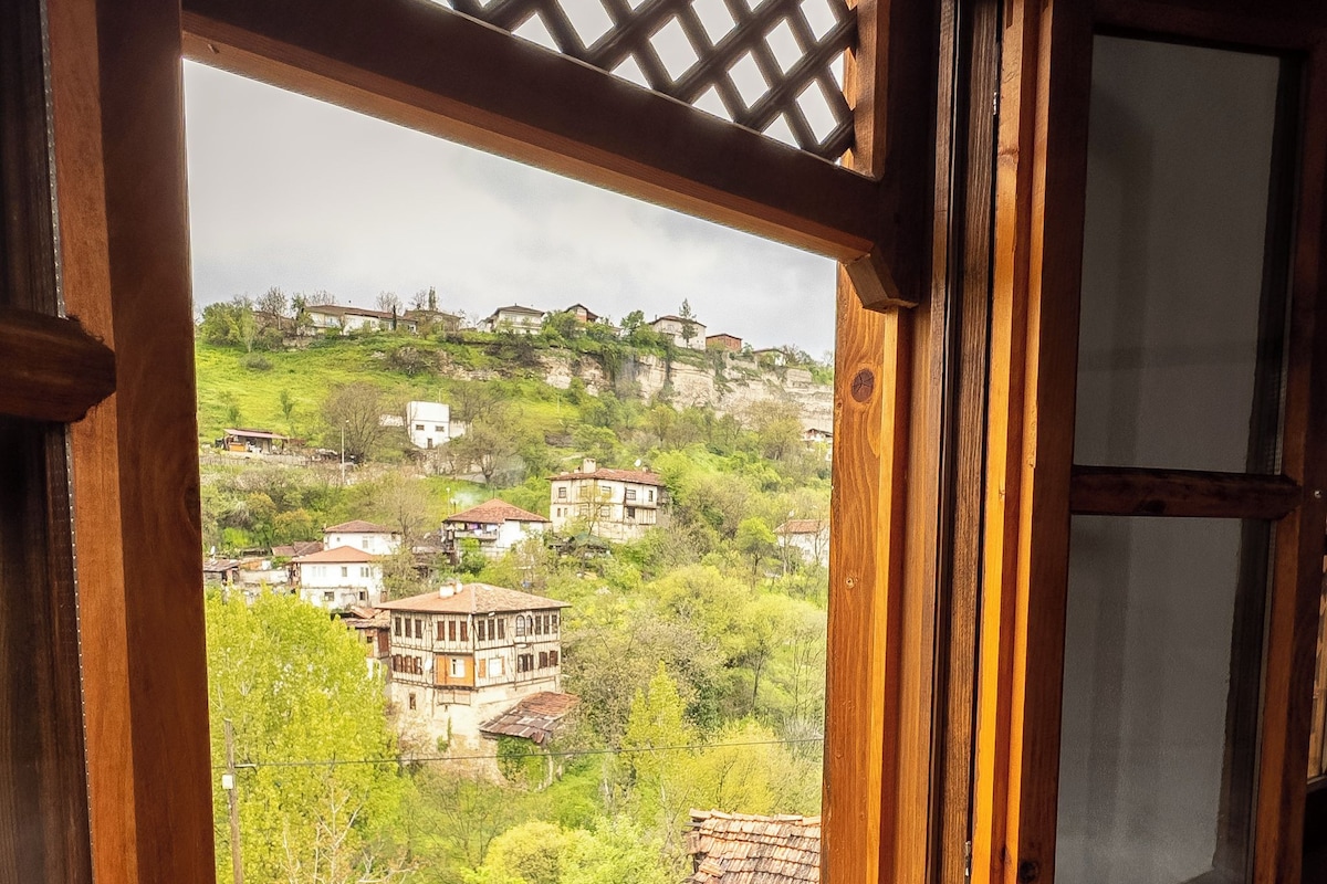 A window with a wooden frame and a view of a hillside with buildings and greenery.
