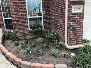 Enjoy the serene garden with a variety of flowering plants and shrubs, surrounded by a low brick border.