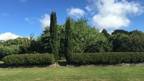 Ein gepflegter Garten mit verschiedenen Bäumen und ordentlich geschnittenen Hecken.