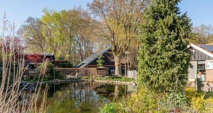 Tiny house on small park in nature