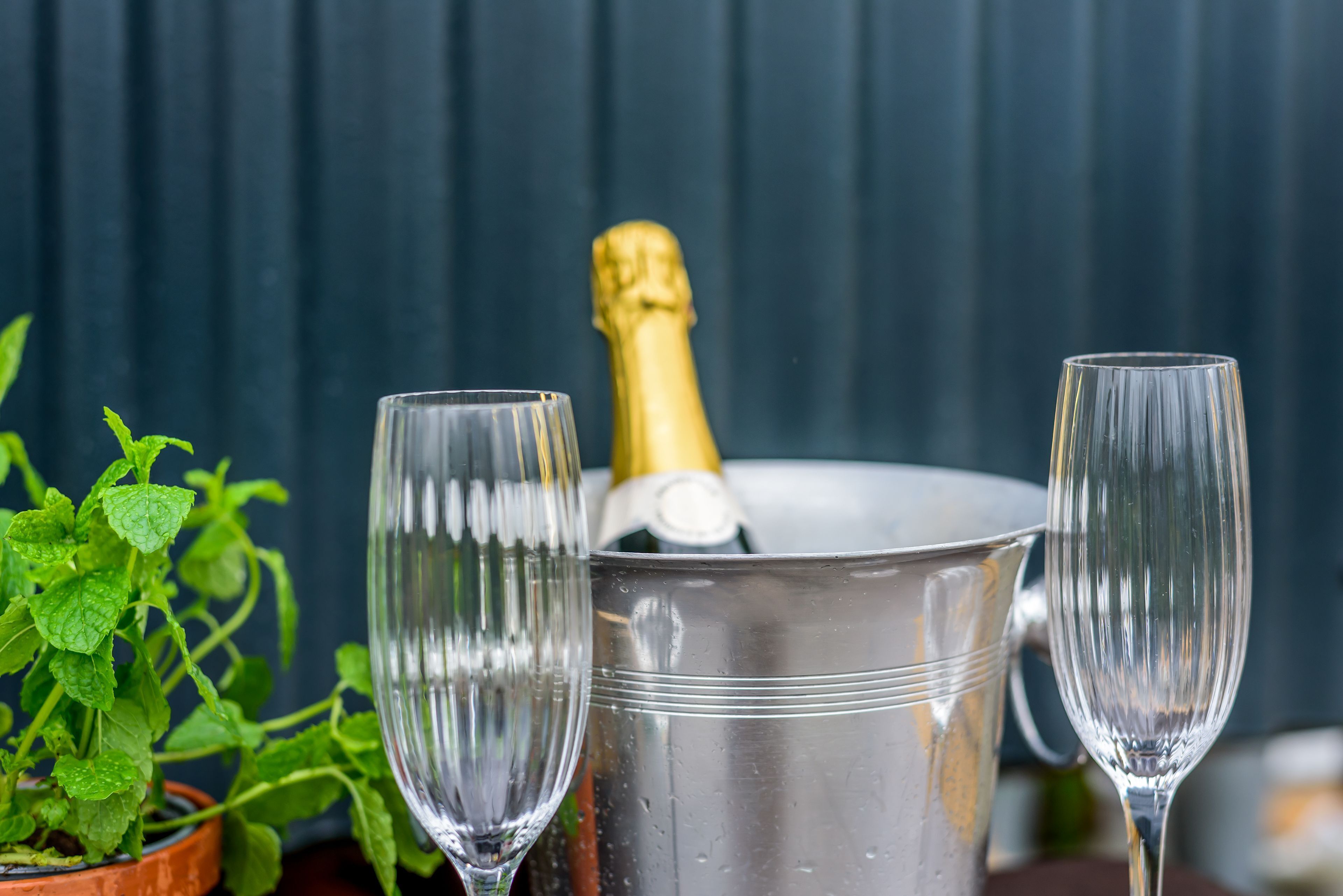 En metallhink med två tomma glas och en flaska champagne.