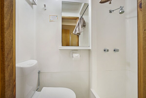 A bathroom with a toilet, a shower, and a mirror.