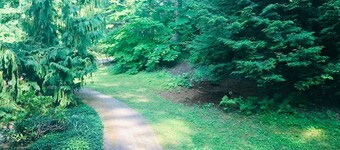 Stunning Lake Views & Privacy Only Mins. to Downtown Lenox, Stockbridge, Lee.