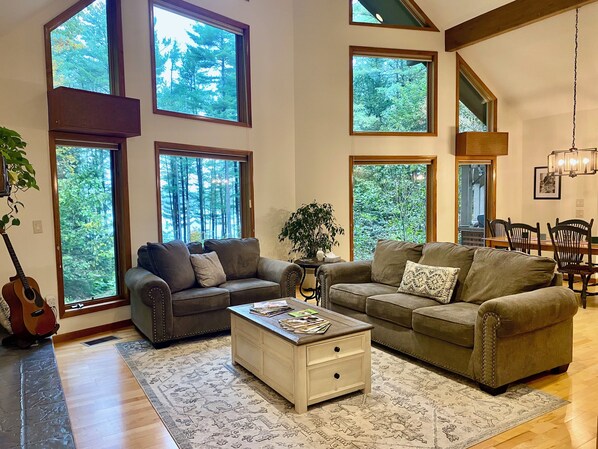 Smart TV, fireplace, ping pong, books