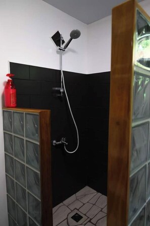 Shower, towels, toilet paper