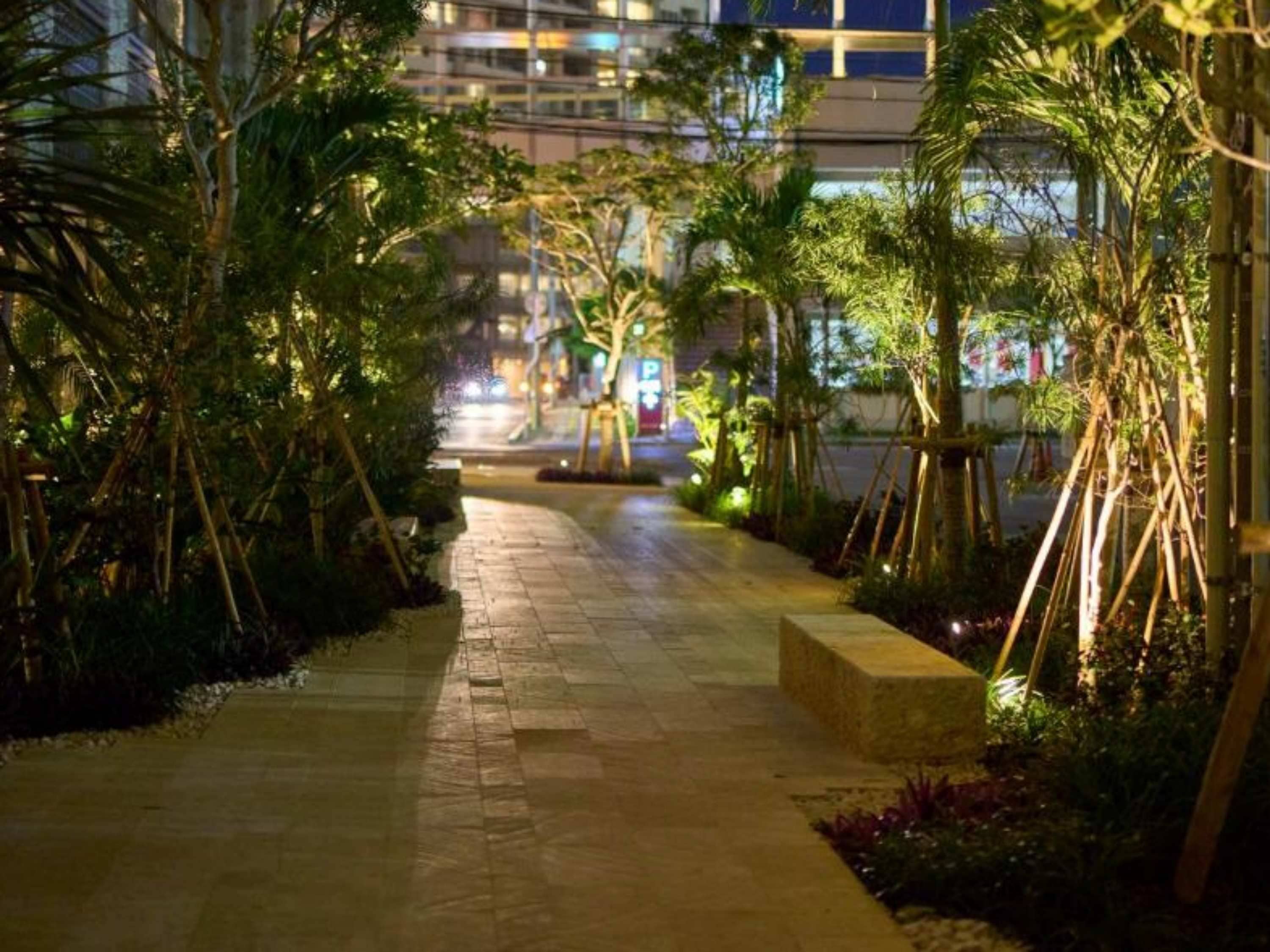 A nighttime pathway lined with bamboo and tropical plants, leading to a building with illuminated windows.