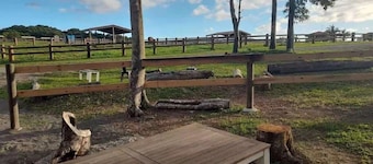 Farm Stay 30 minutes from Cairns CBD
