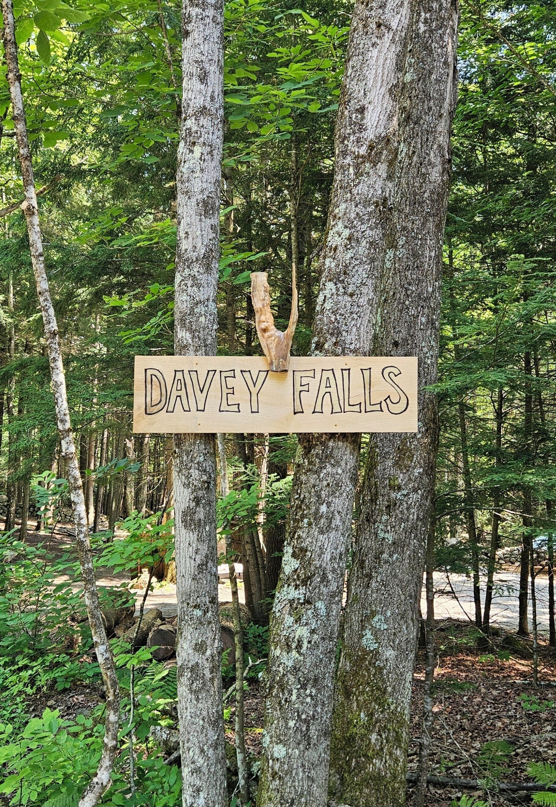 Un letrero de madera con el texto 'DAVEY FALLS' en un entorno boscoso.