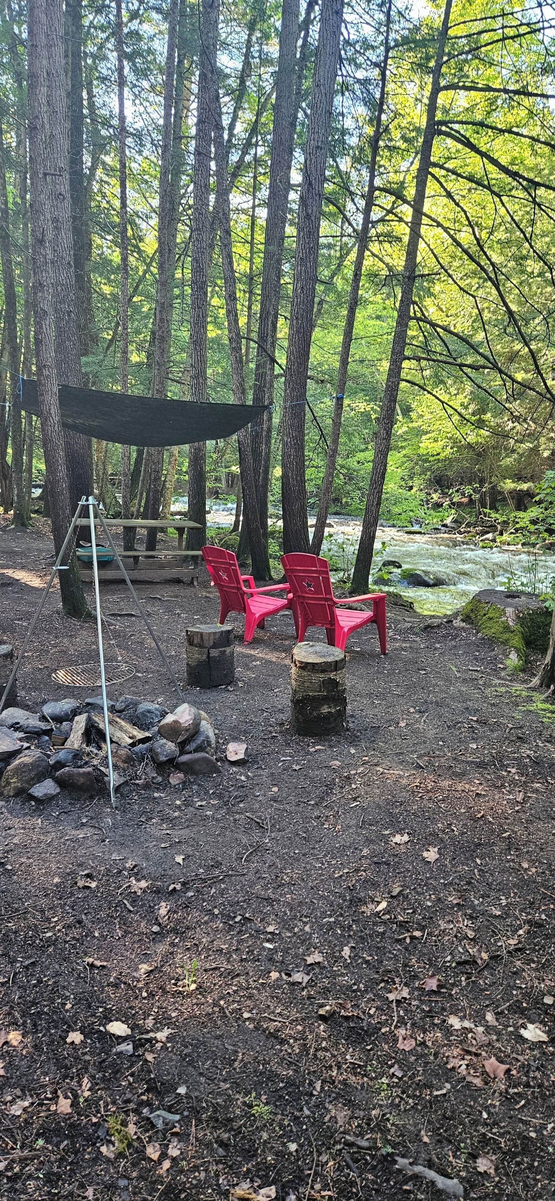 Une zone boisée avec une table de pique-nique, des chaises rouges et un barbecue en métal.