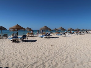 A beach with rows of sun loungers and thatched umbrellas.