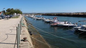Un port de plaisance où des bateaux sont amarrés le long d’une promenade dallée.