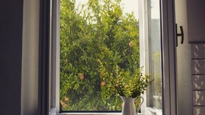 Ein Fenster mit Blick auf einen grünen Busch und eine weiße Vase mit Blumen auf dem Fensterbrett.