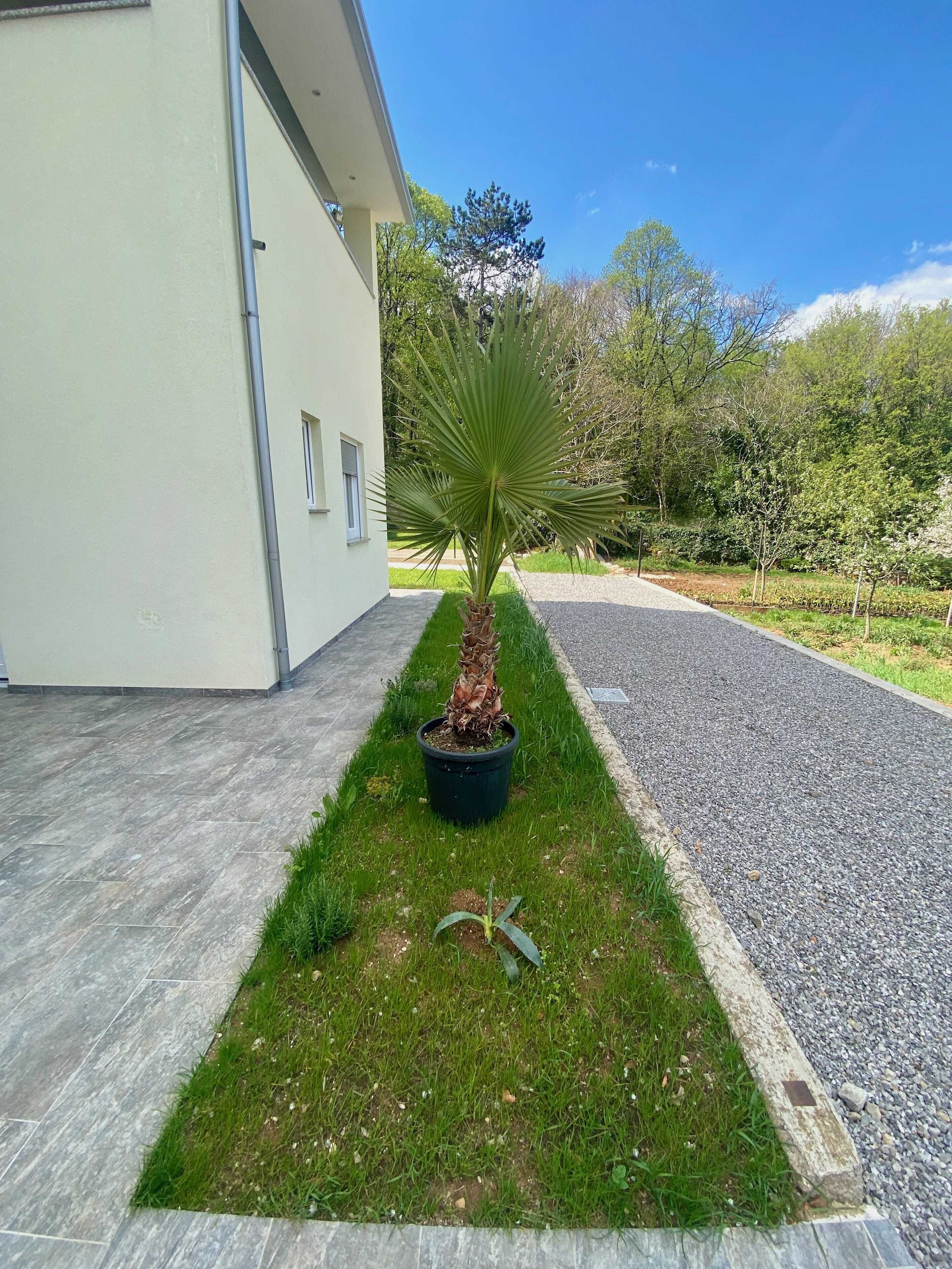 Apartment (Two Bedroom Apartment with Terrace) | Exterior