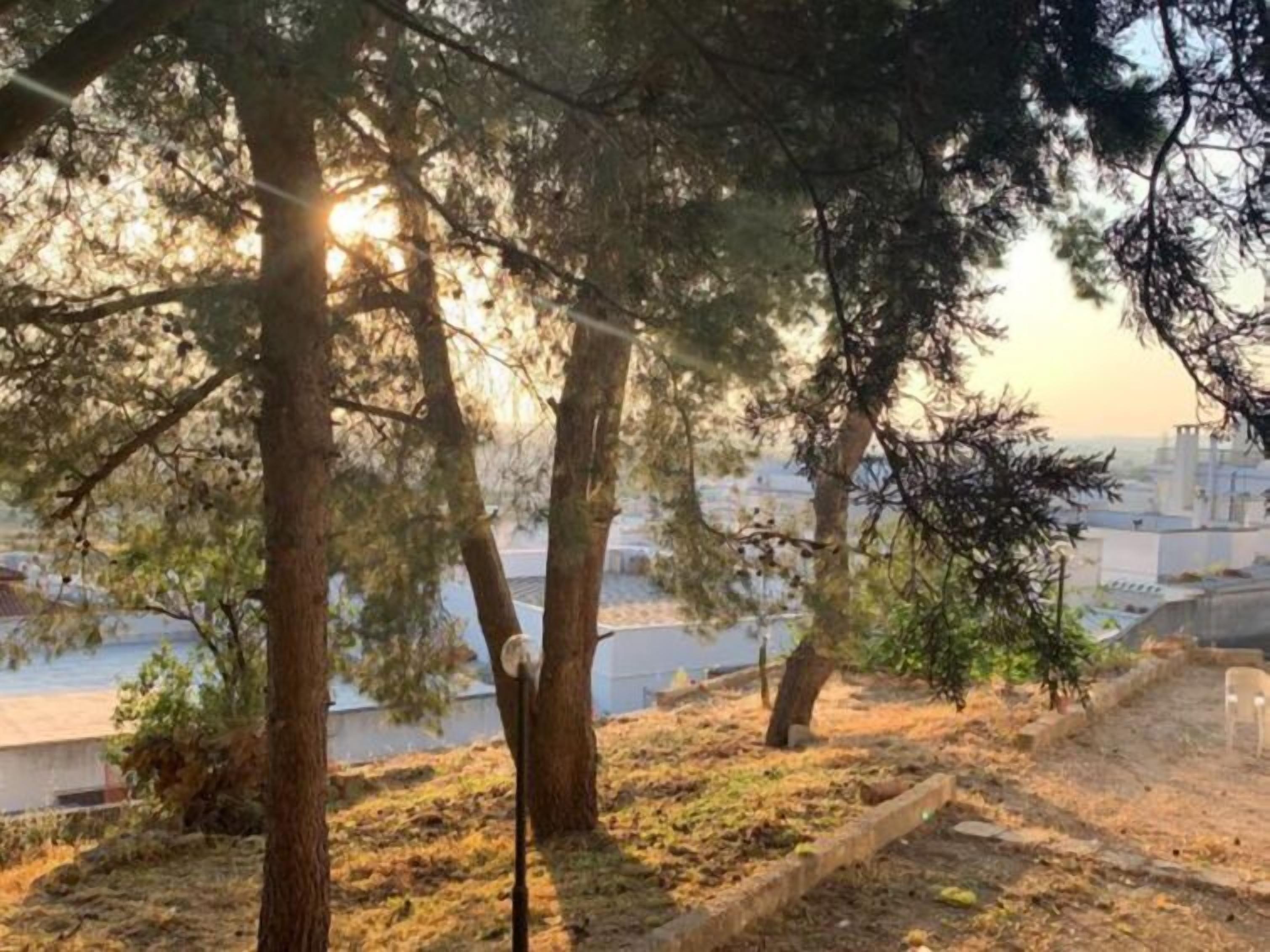 Parco della struttura