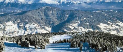 Lumi- ja hiihtourheilulajit