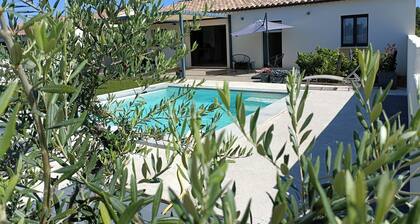 Vineyard villa with pool