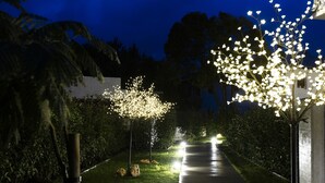 Un sentier bordé d’arbres illuminés et dont le sol est mouillé, ce qui laisse supposer qu’il a plu récemment.
