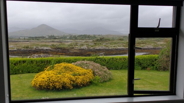 A window view of a landscape with a mountain, a grassy area, and a bush with yellow flowers. - Lovely 3-bed House in Connemara, County Galway (Gowla)