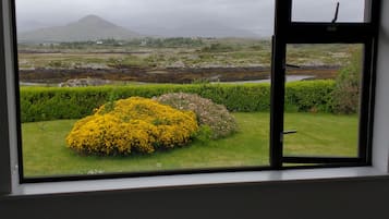 House | 3 bedrooms, iron/ironing board, free WiFi, bed sheets