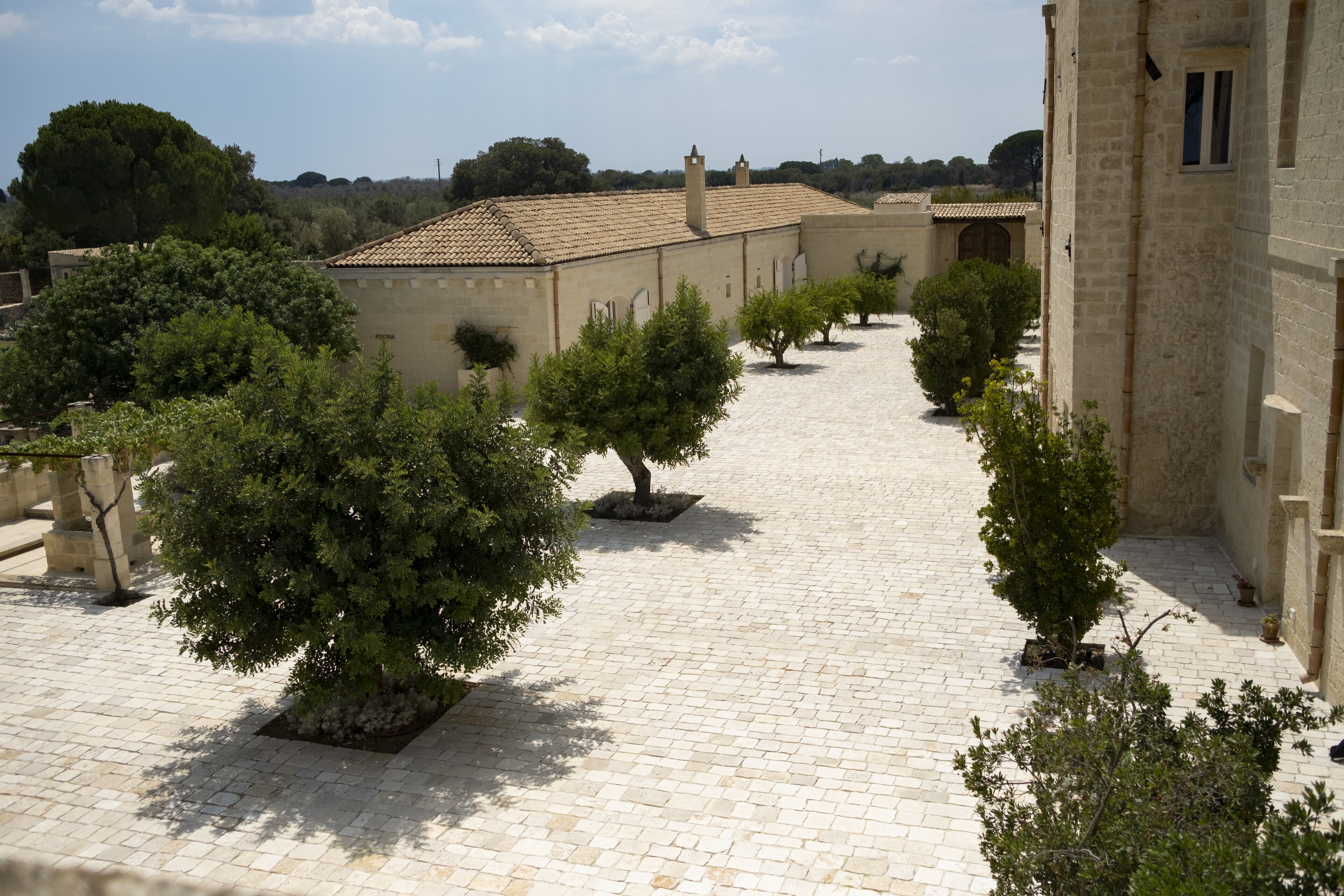 A courtyard with a paved pathway lined with trees and a building with a tiled roof.
