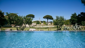 A clear blue swimming pool with a view of a landscaped garden and distant trees.