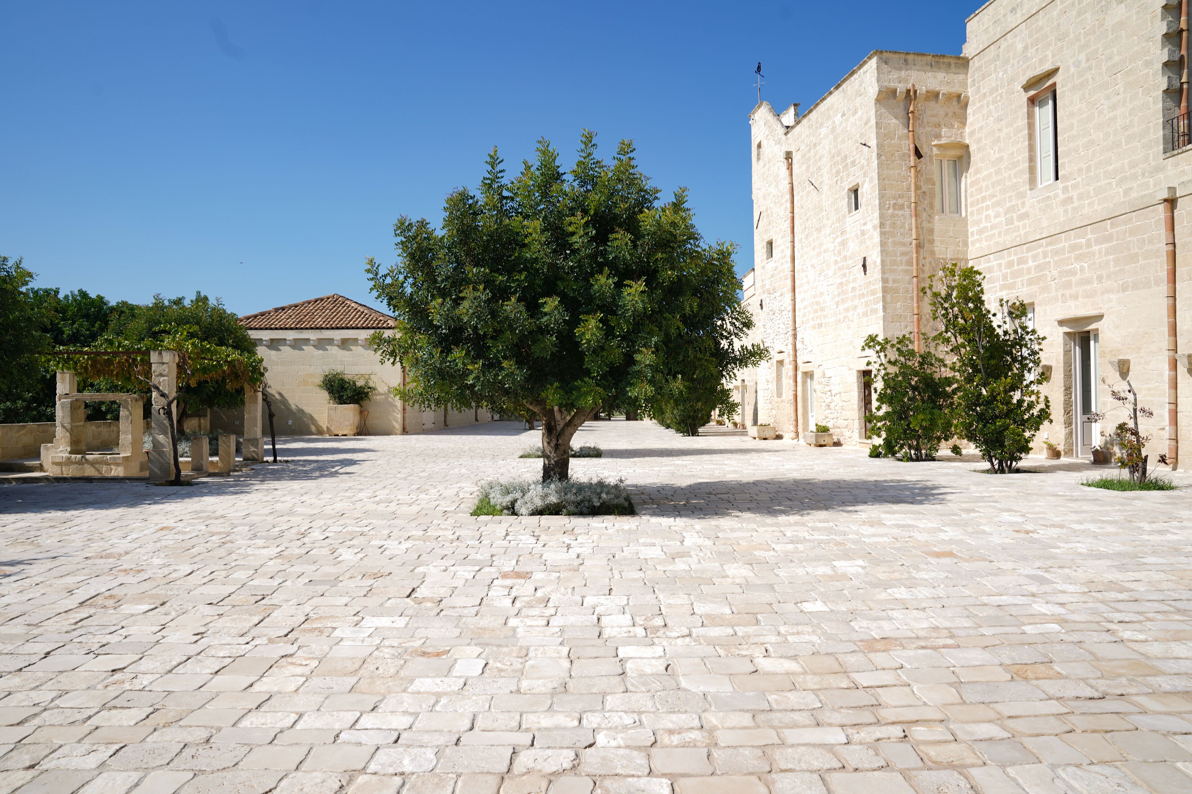 En innergård med kullerstensbeläggning, ett stort träd i mitten och historiska byggnader med stenväggar och tegeltak.