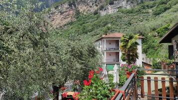 Classic-Doppelzimmer | Terrasse/Patio