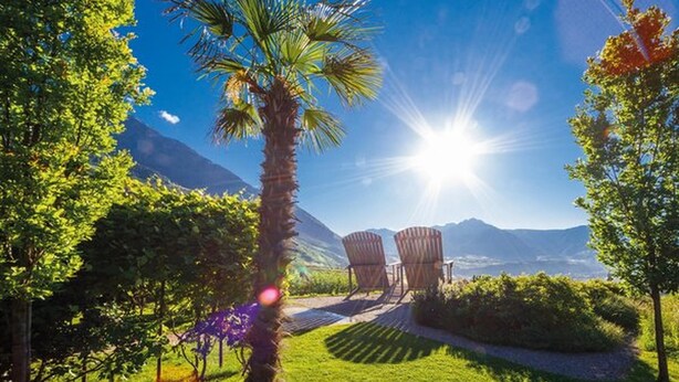 Ein sonniger Außenbereich mit einer Palme, zwei Stühlen und Blick auf die Berge.