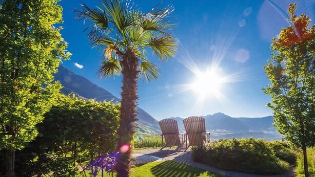 A garden with a palm tree, two chairs, and a mountain view. - Apartment Hofer Hof ZIEL with Mountain View, Wi-Fi & Terrace (Algund)