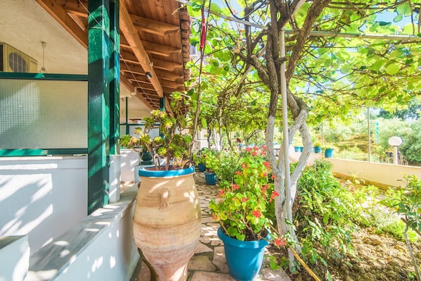 A covered outdoor area with potted plants, a large terracotta pot, and a wooden pergola structure.