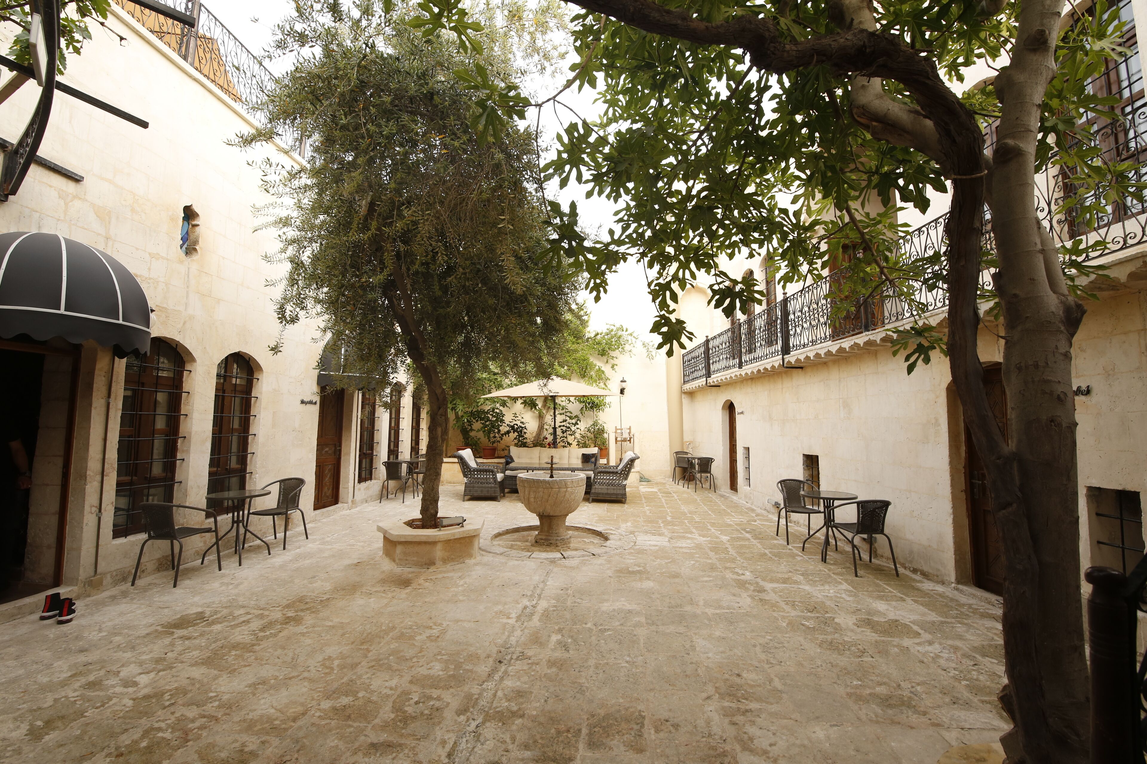 Hage