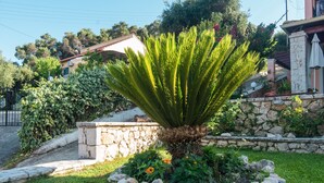 A garden with a palm-like plant, a stone wall, and a building in the background.