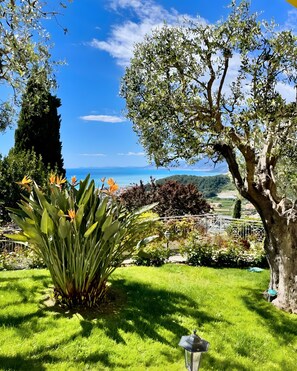 A garden with a variety of plants, a tree, and a view of the sea.