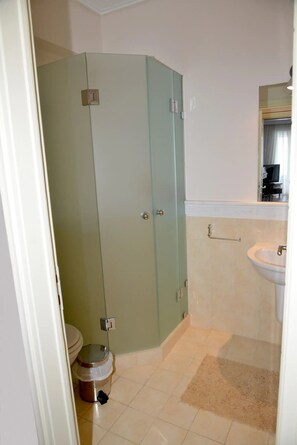 Combined shower/tub