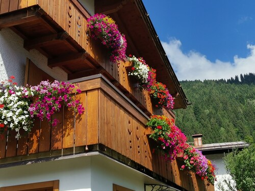 Appartement Adamello Casa Lucia avec vue sur les montagnes