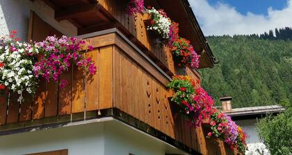 Appartement Adamello Casa Lucia avec vue sur les montagnes